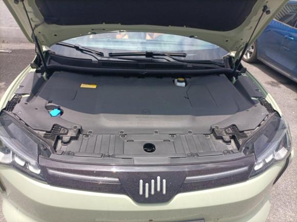 [上海·沪A] 二手威马汽车威马W62021款 520km ACE极智版