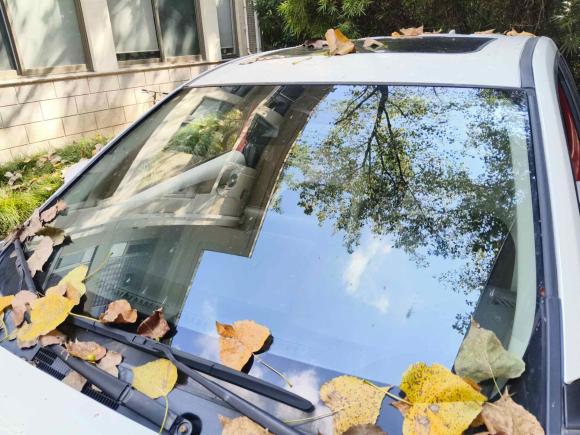 [上海·鲁K] 二手丰田锋兰达2022款 2.0L CVT领先版