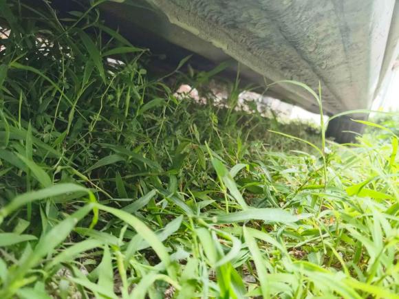 [上海·沪F] 二手本田雅阁2011款 2.4L LX