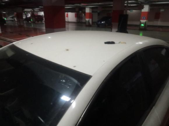 [杭州·浙D] 二手菲亚特菲翔2012款 1.4T 自动畅享版