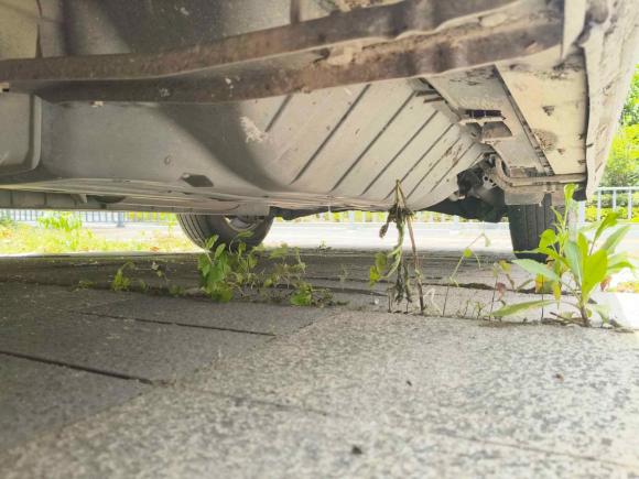 [宁波·浙B] 二手本田本田CR-V2013款 2.4L 两驱豪华版