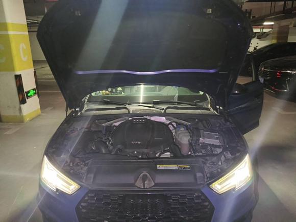 [上海·沪E] 二手奥迪奥迪A4L2018款 30周年年型 40 TFSI 时尚型