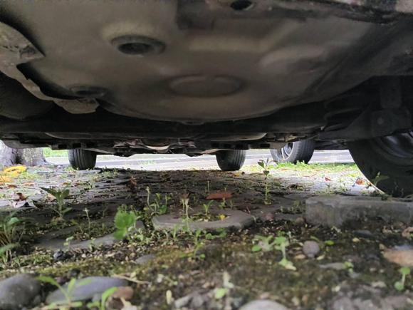 [成都·川A] 二手大众Polo2016款 1.4L 手动风尚型