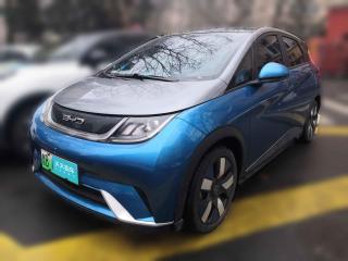 比亚迪海豚2021款 401km 骑士版「青岛二手车」「天天拍车」