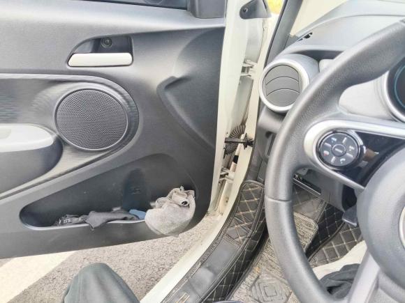 [温州·浙C] 二手欧拉欧拉黑猫2019款 351km 亲子版