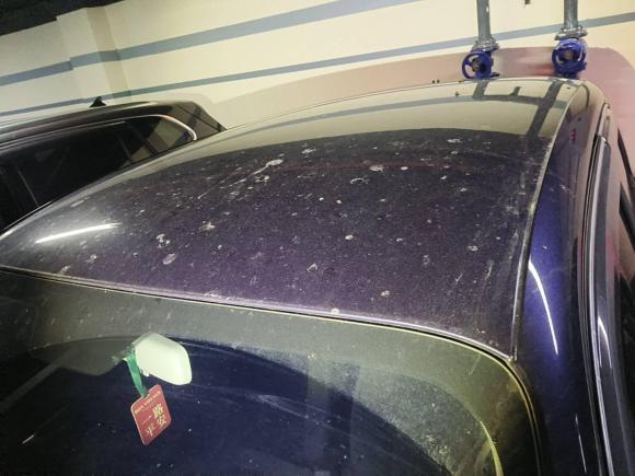 [苏州·苏E] 二手零跑汽车零跑T032021款 400轻享版 磷酸铁锂