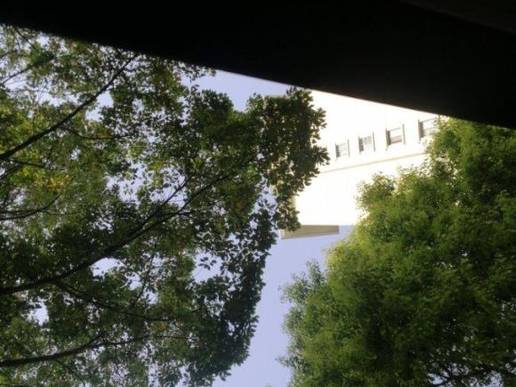 [上海·沪E] 二手大众帕萨特2011款 2.0TSI DSG至尊版