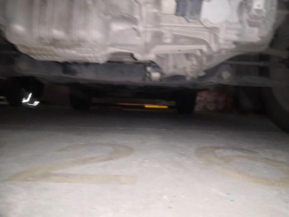 [上海·苏F] 二手福特翼搏2013款 1.5L 自动风尚型