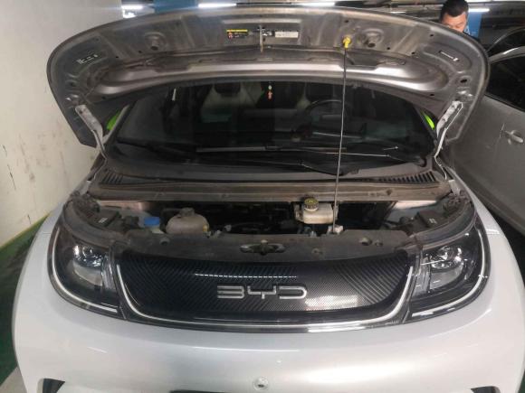 [南昌·赣A] 二手比亚迪海豚2021款 405km 时尚版