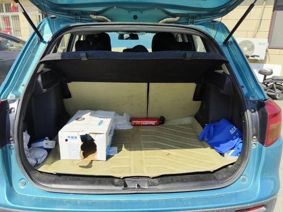 [青岛·鲁B] 二手铃木维特拉2016款 1.6L 手动两驱进取型