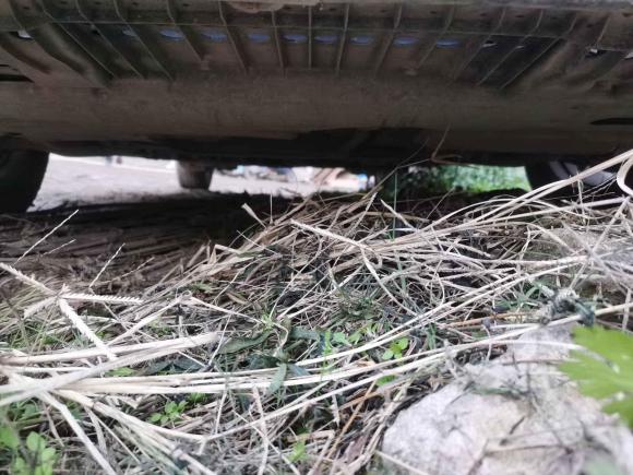 [温州·浙C] 二手丰田逸致2014款 星耀 180E CVT精英版