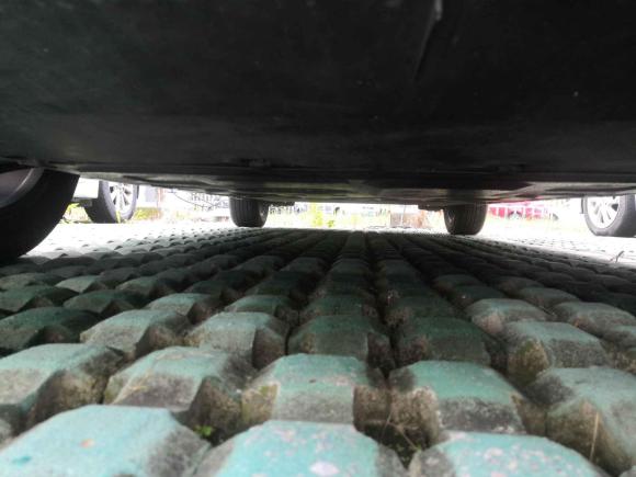 [嘉兴·浙F] 二手比亚迪海豚2021款 405km 时尚版