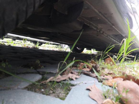 [上海·沪A] 二手日产骐达TIIDA2011款 1.6L CVT智能型