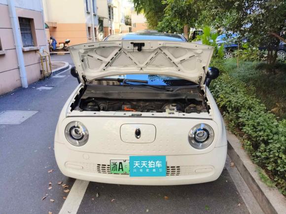 [杭州·浙A] 二手欧拉欧拉黑猫2021款 301km 基础型