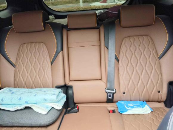 [合肥·皖A] 二手比亚迪唐新能源2021款 DM-i 112KM 尊荣型