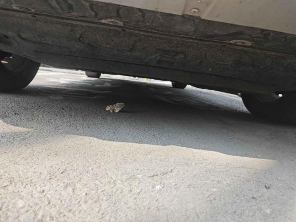 [北京·京N] 二手荣威荣威RX5 MAX2019款 300TGI 自动4G互联豪华版