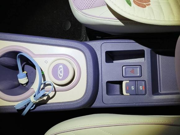 [苏州·苏E] 二手奇瑞新能源小蚂蚁2022款 魅 301km 罗曼司 磷酸铁锂