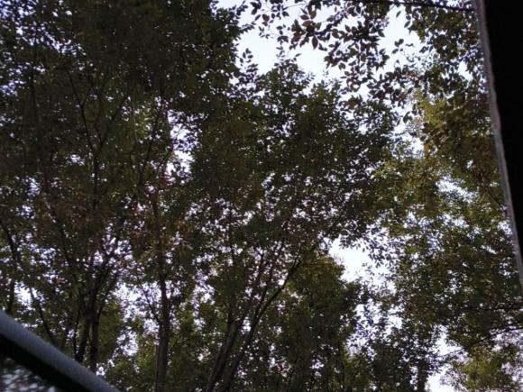 [上海·沪A] 二手蔚来蔚来ES72022款 75kWh