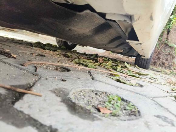 [深圳·粤H] 二手福特蒙迪欧2017款 EcoBoost 200 时尚型