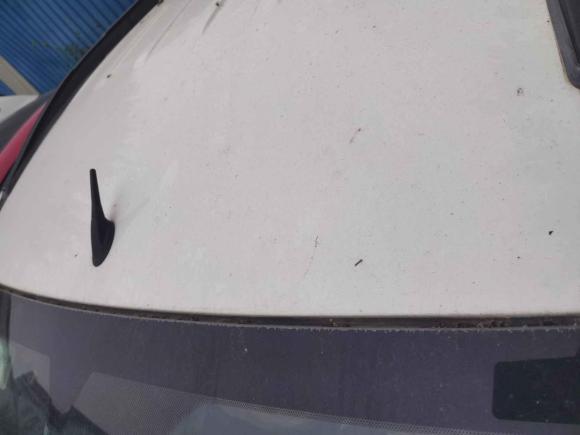 [深圳·粤B] 二手福特翼搏2013款 1.5L 自动风尚型