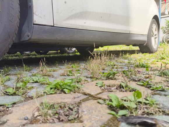 [上海·皖L] 二手福特福克斯2017款 三厢 1.6L 自动风尚型智行版