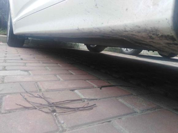 [苏州·苏A] 二手起亚起亚K52015款 2.0L 自动GLS