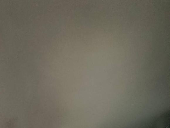 [上海·沪A] 二手大众朗逸纯电2019款 优享版