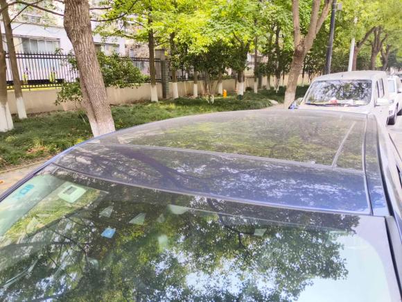 [杭州·浙A] 二手捷豹捷豹F-PACE2018款 2.0T 四驱都市尊享版