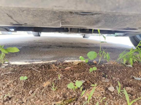 [青岛·鲁B] 二手现代伊兰特2021款 1.5L CVT LUX尊贵版