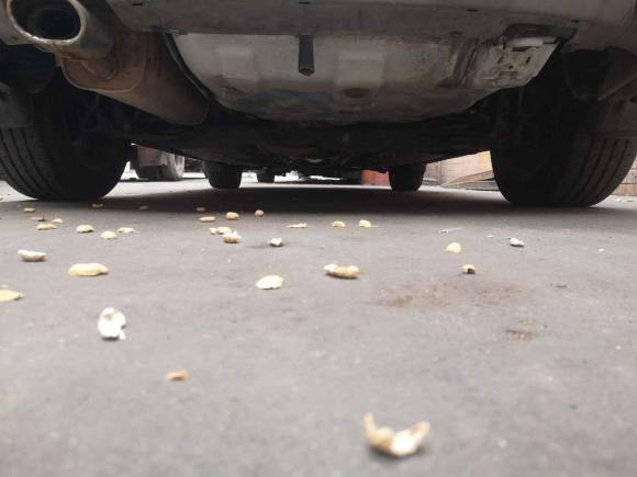 [佛山·粤E] 二手纳智捷优6 SUV2014款 1.8T 魅力型