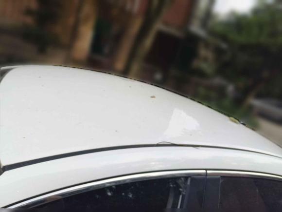 [广州·粤A] 二手本田凌派2019款 180Turbo CVT舒适版 国VI