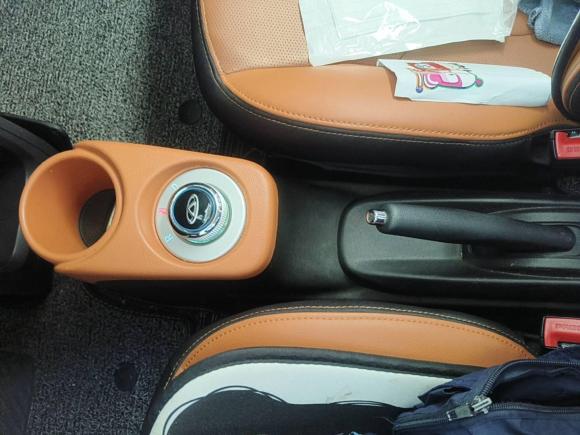 [上海·沪A] 二手奇瑞新能源小蚂蚁2018款 4座智炫版