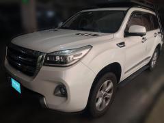 [佛山·粤X]哈弗&nbsp;&nbsp;哈弗H9&nbsp;&nbsp;2020款2.0T汽油四驱尊享型5座