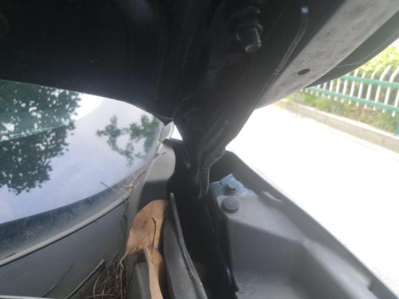 [温州·浙C] 二手东风风行风行T5 EVO2021款 1.5TD DCT星耀版