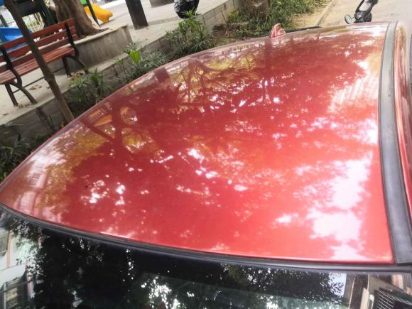 [成都·川A] 二手启辰启辰T902017款 2.0L CVT风尚版