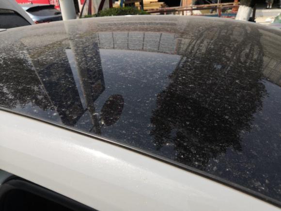 [成都·川A] 二手长安长安UNI-T2020款 1.5T 尊贵型