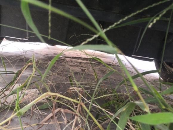 [上海·浙F] 二手大众途观2010款 1.8TSI 自动两驱风尚版