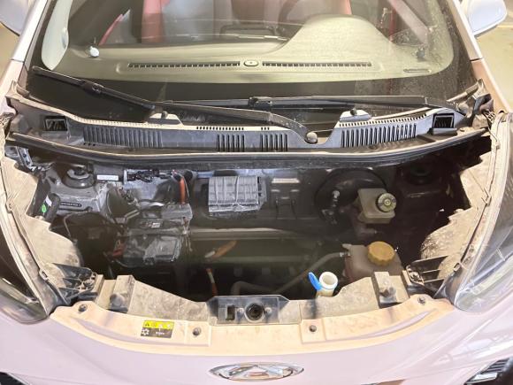 [佛山·粤A] 二手奇瑞新能源小蚂蚁2022款 甜粉款 半糖版 磷酸铁锂 30kW 301km