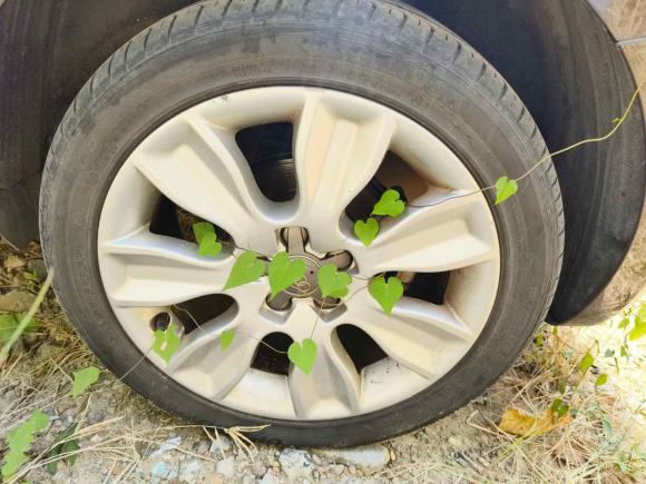 [南昌·赣A] 二手奥迪奥迪A12014款 30 TFSI 时尚型