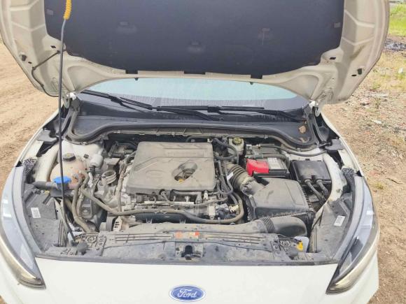 [义乌·浙G] 二手福特福克斯2019款 三厢 EcoBoost 180 自动ST Line