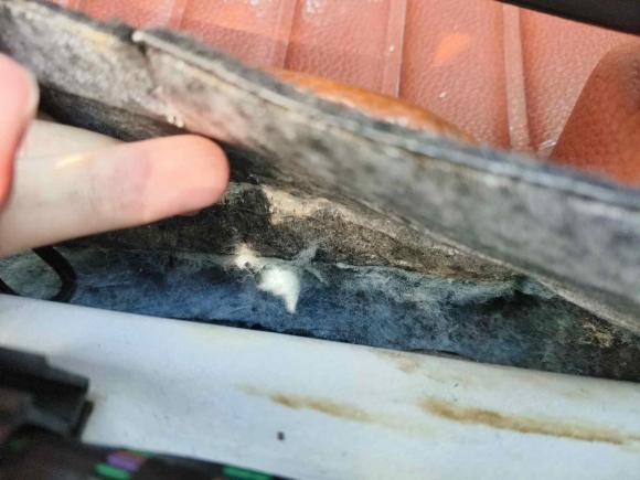 [成都·川A] 二手长安长安CS352014款 1.6L 手动豪华型 国IV