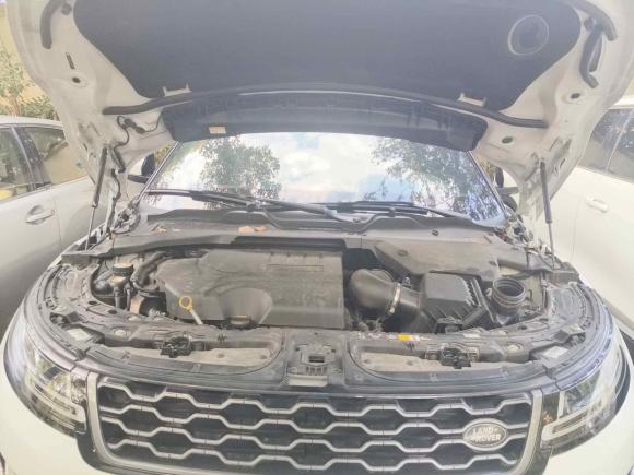 [上海·沪D] 二手路虎揽胜极光2020款 249PS R-DYNAMIC S 运动版