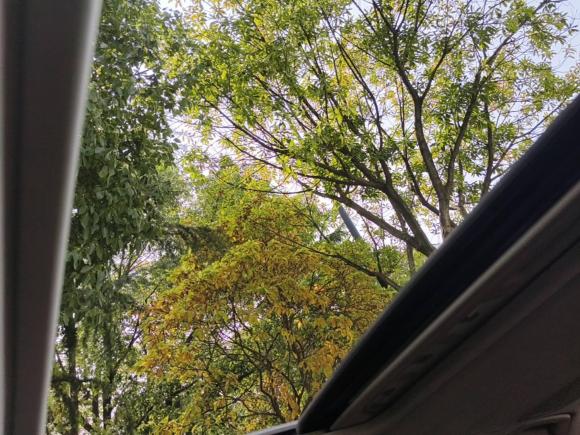 [嘉兴·浙F] 二手宝马宝马3系2013款 320Li 豪华设计套装