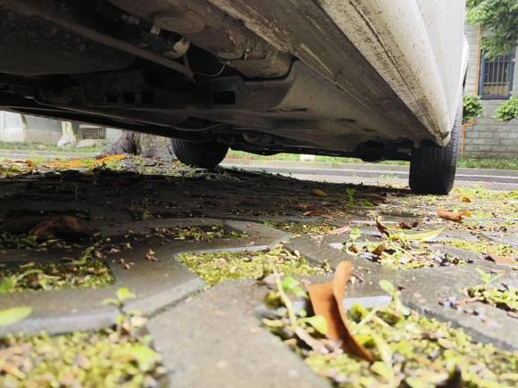 [成都·川A] 二手大众Polo2016款 1.4L 手动风尚型