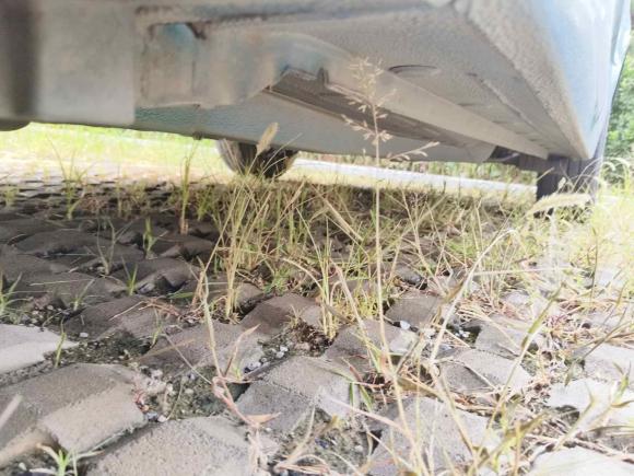 [济南·鲁A] 二手雪佛兰爱唯欧2014款 三厢 1.4SL AT 时尚天窗版