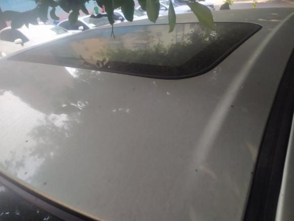 [佛山·粤E] 二手铃木启悦2015款 1.6L 手动乐享型