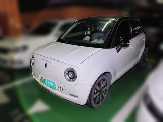 欧拉欧拉黑猫2019款 351km 灵智版