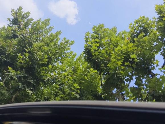 [上海·沪N] 二手丰田凯美瑞2012款 2.5G 豪华版