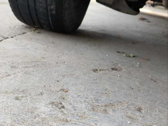 [芜湖·皖B] 二手大众桑塔纳2021款 1.5L 手动风尚版