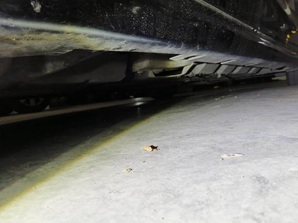 [无锡·苏B] 二手福特蒙迪欧2013款 2.0L GTDi200时尚型